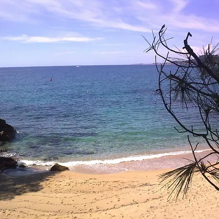 Burlamacco Gold Viareggio