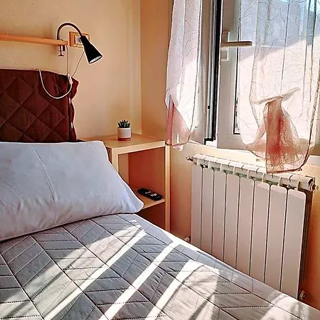 Burlamacco Gold فياريجيو