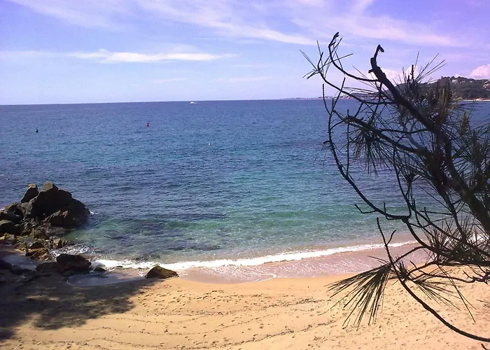 Burlamacco Gold فياريجيو